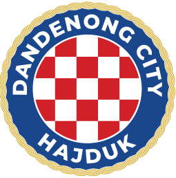 Dandenong City SC
